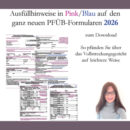 Ausfüllhinweise auf den neuen PFÜB-Formularen 2026